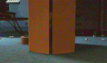 Woody-Owned.gif