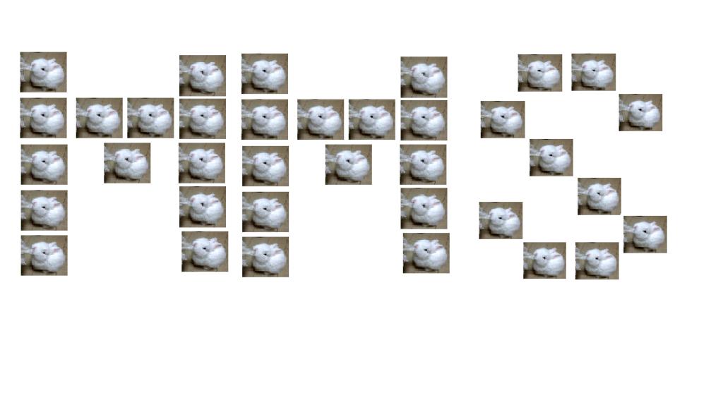 WOOOOT.jpg