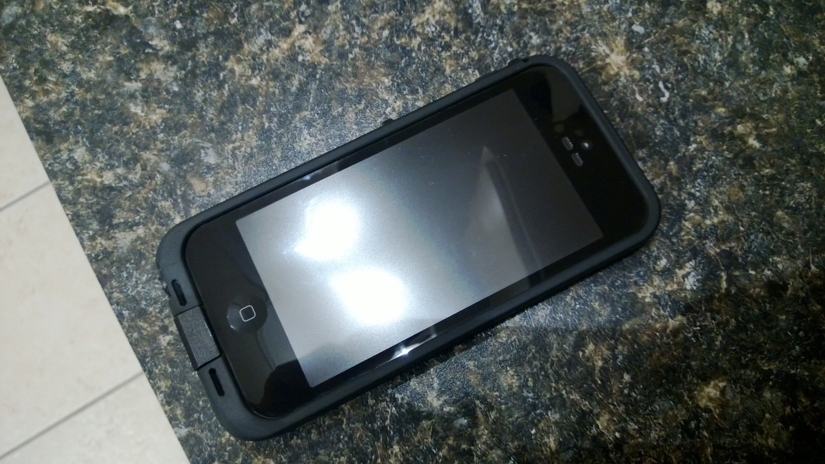 WP_20130302_005.jpg