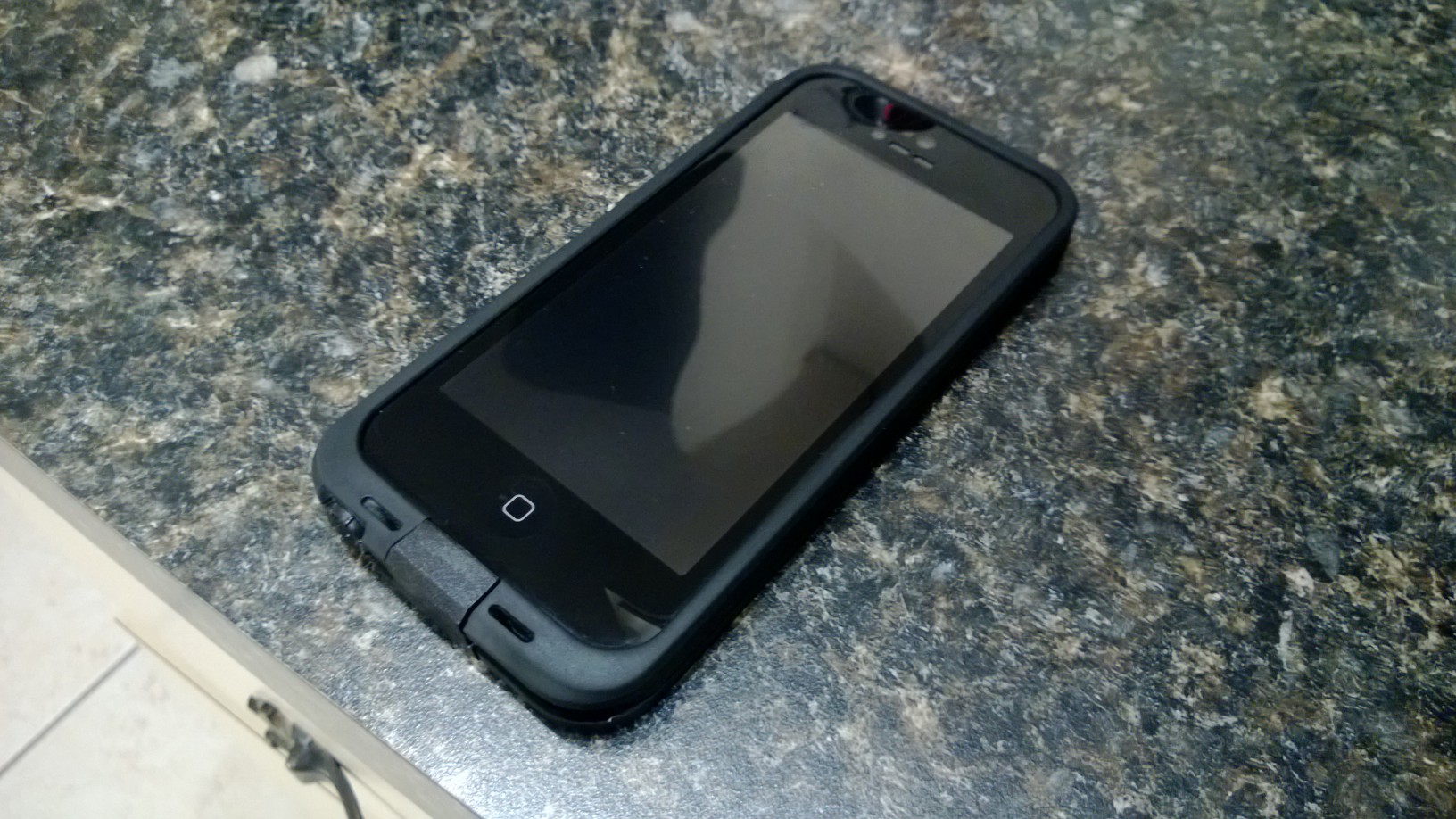 WP_20130302_006.jpg