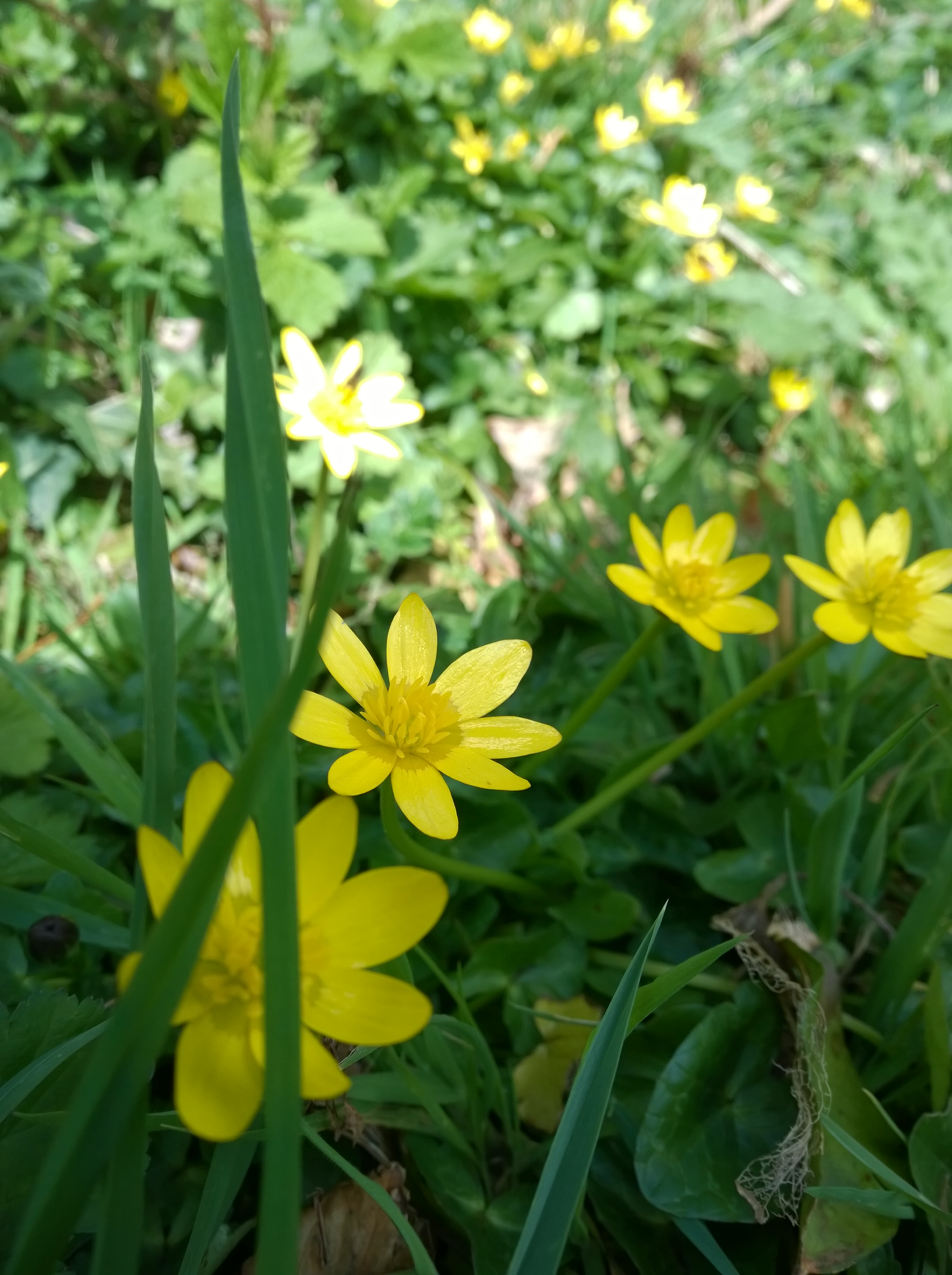 WP_20140404_13_19_17_Pro.jpg