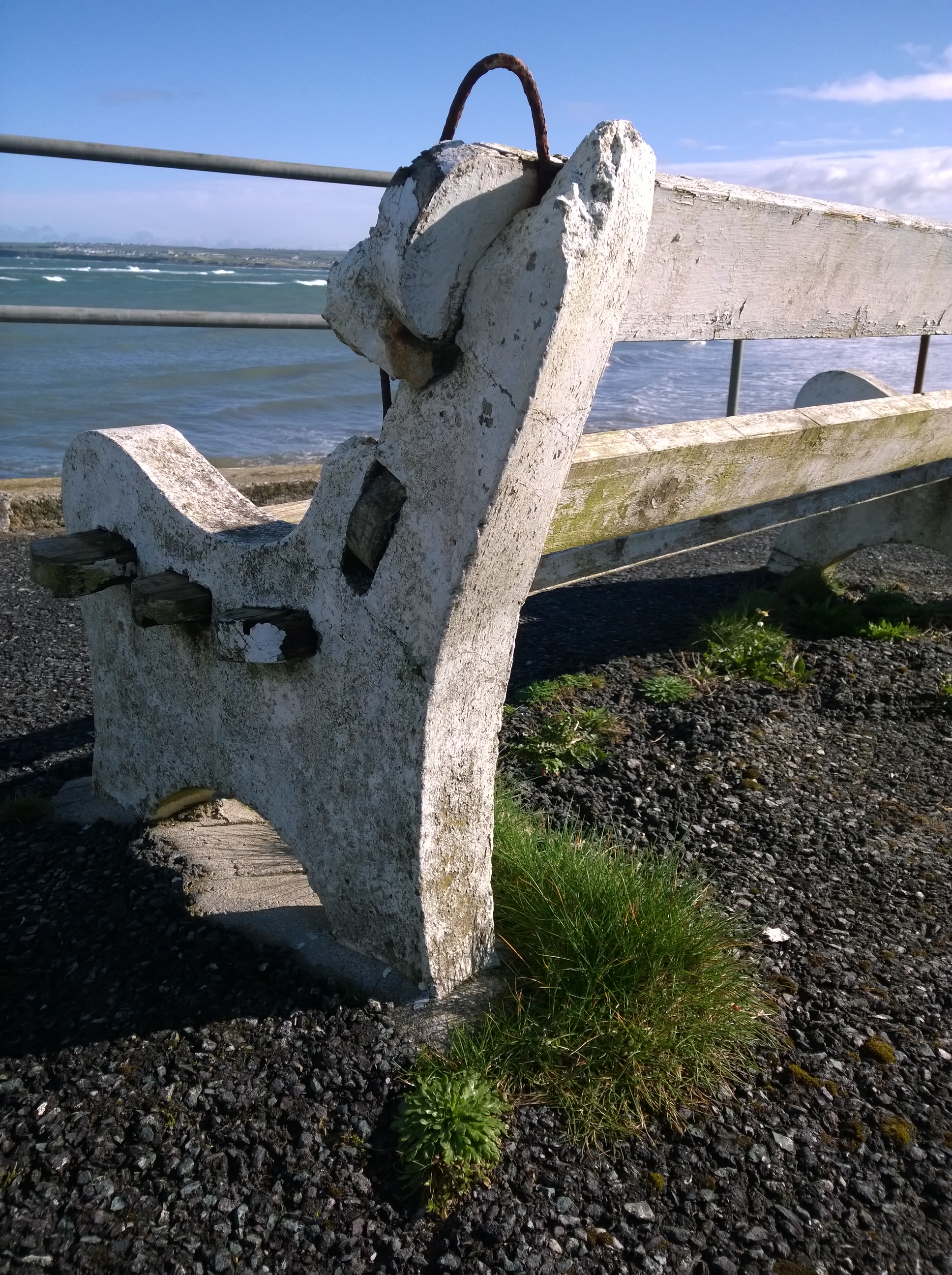 WP_20140406_10_21_47_Pro.jpg