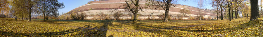 Wuerzburg_Talavera_small1.jpg