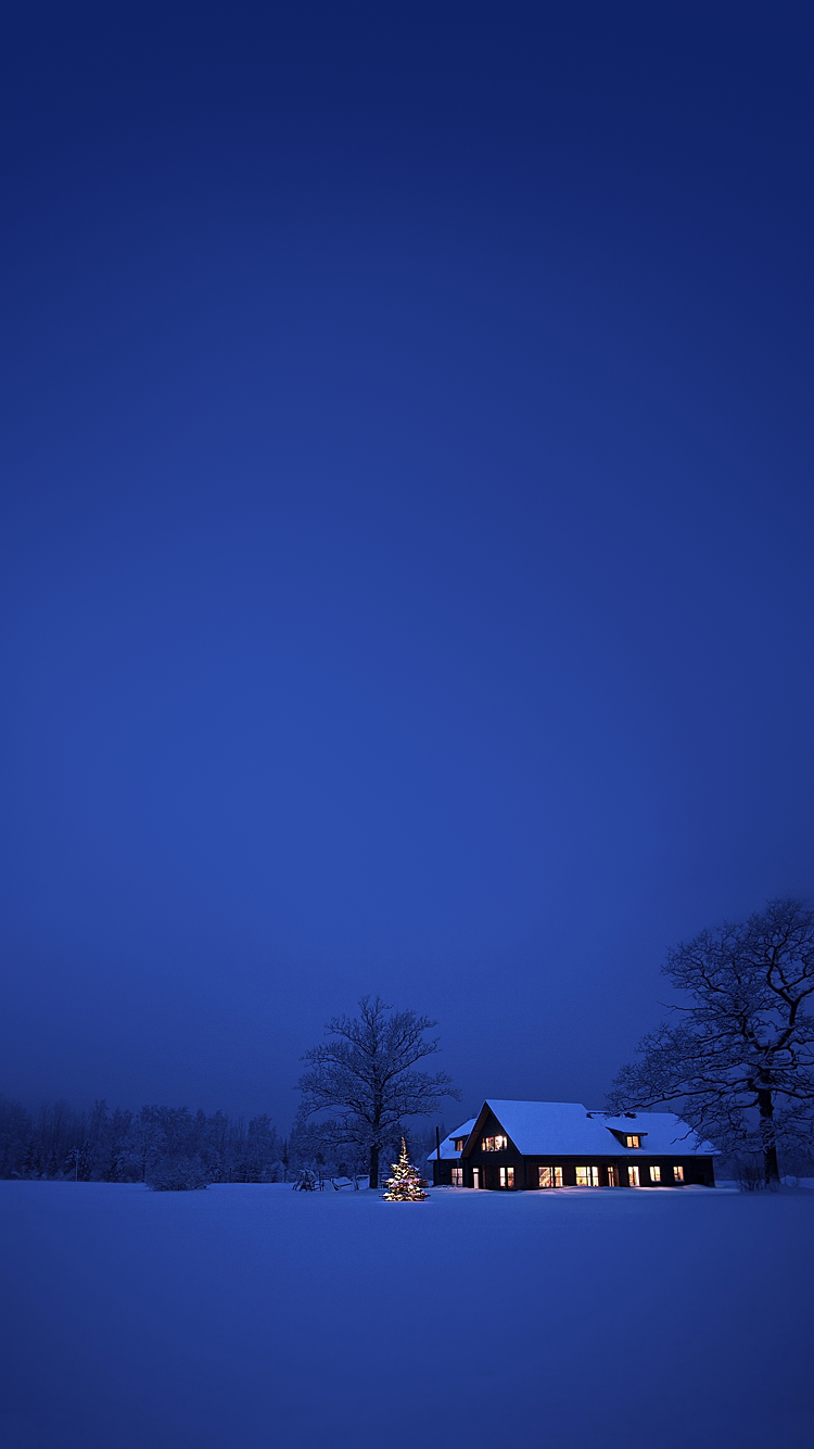Xmas House 04.png