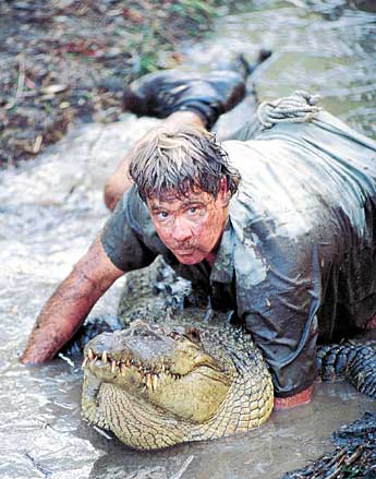 xpress_croc_hunter_345.jpg