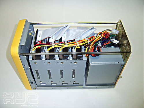 yellowm_006.jpg