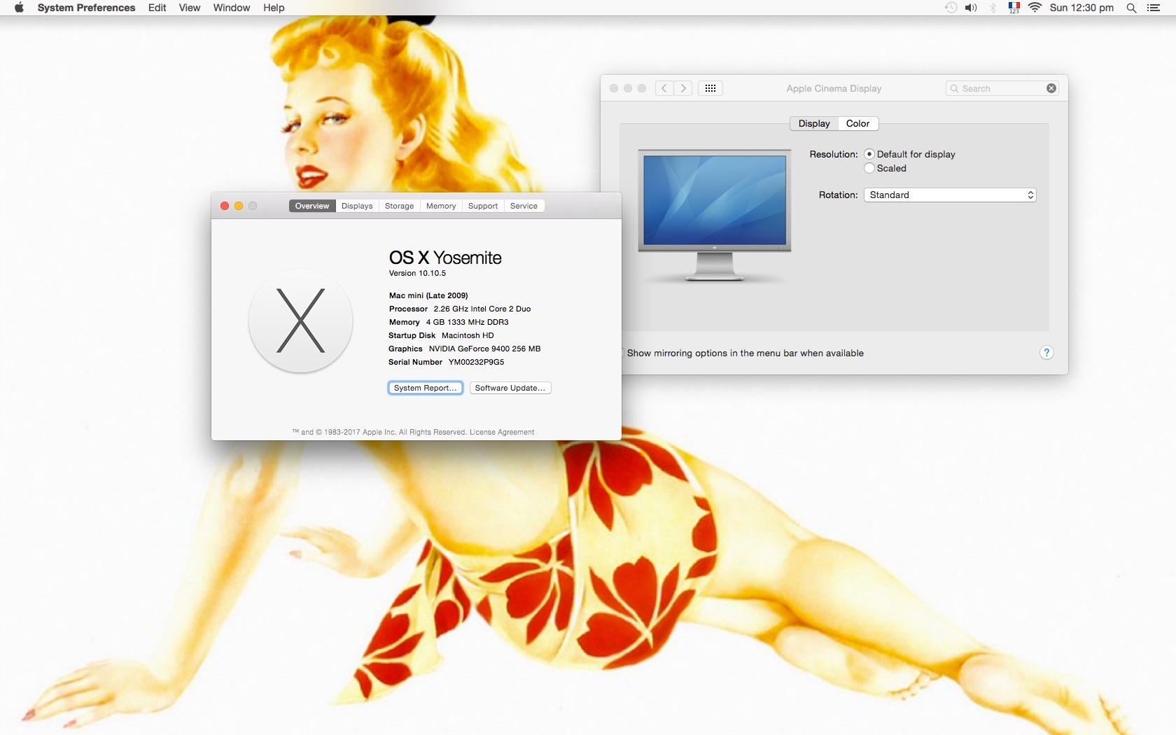 Yosem desktop.jpg