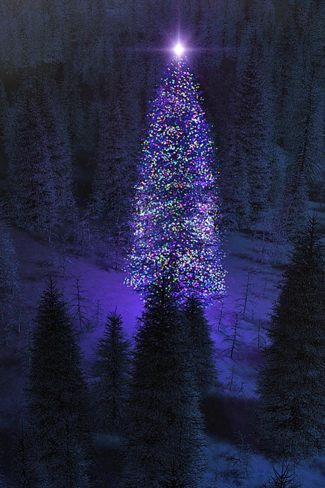 yuletide640x960.jpg