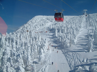 zao_ski_01.jpg