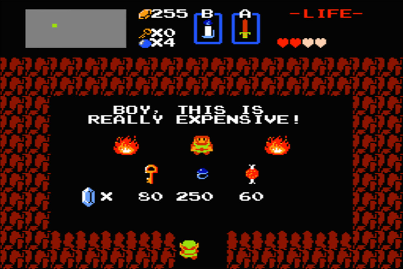 zelda, boy this is really expensive.jpg