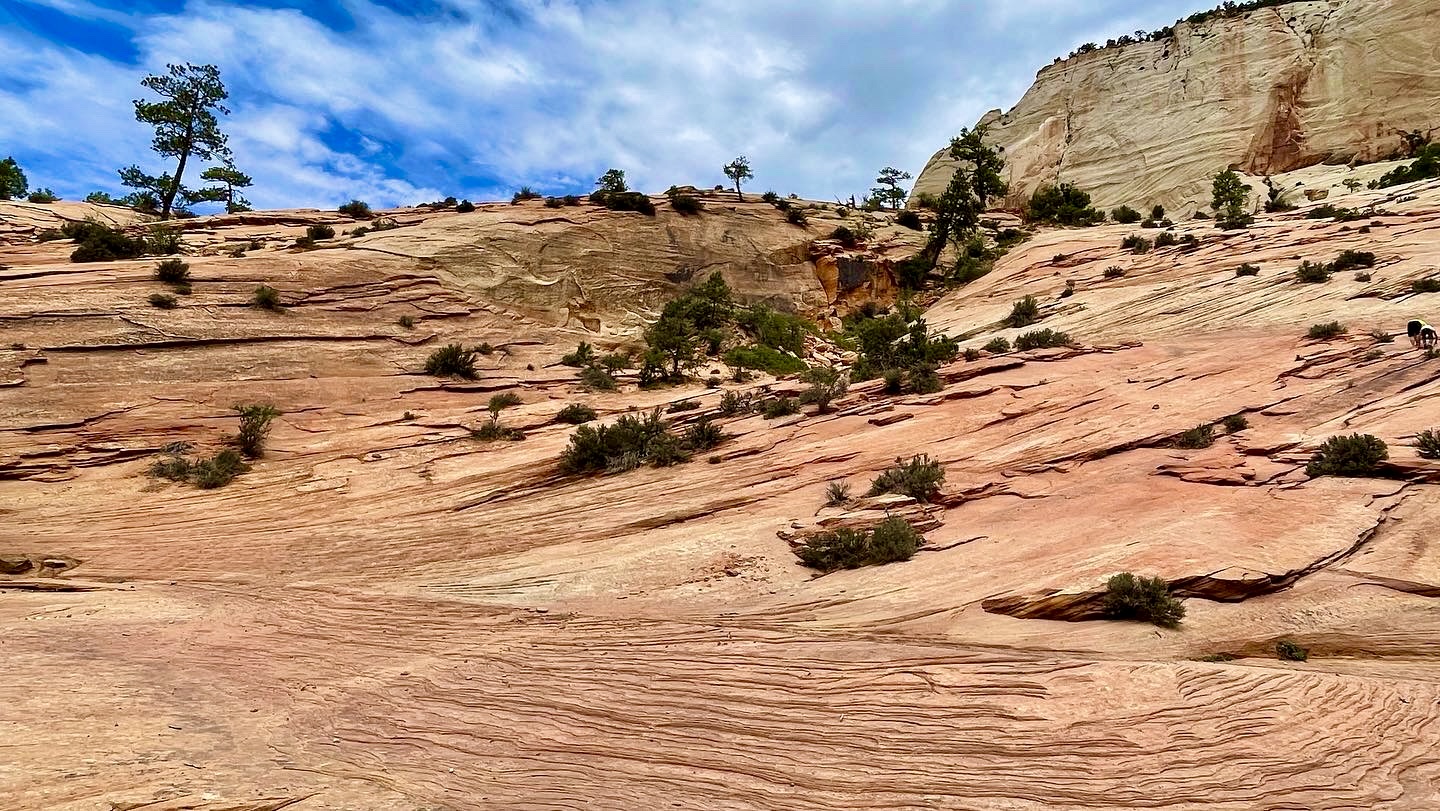 Zion2022-4.jpg