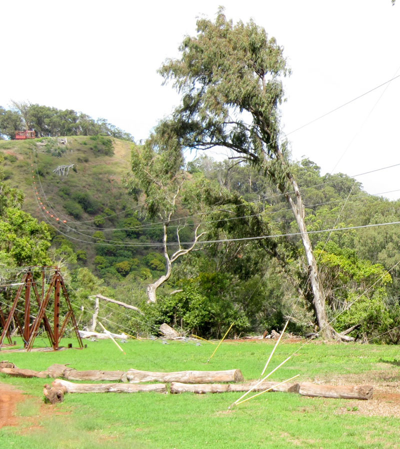 zip-line2.jpg
