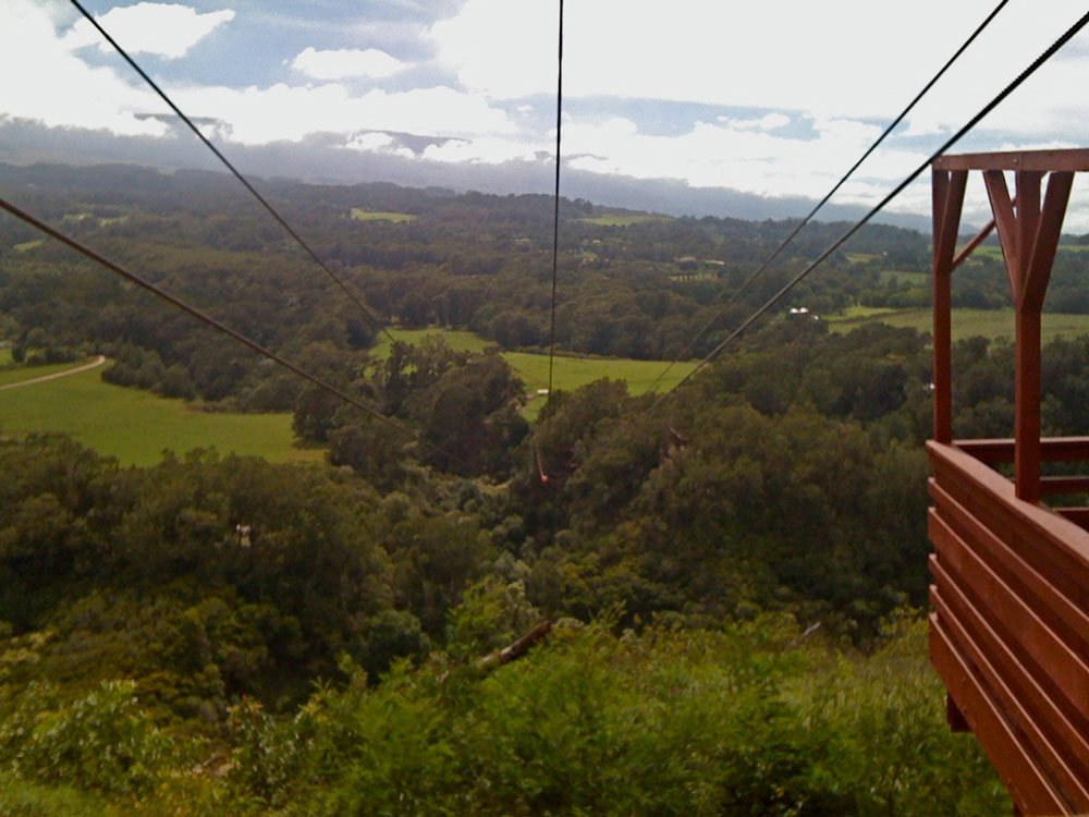 zip-line3.jpg