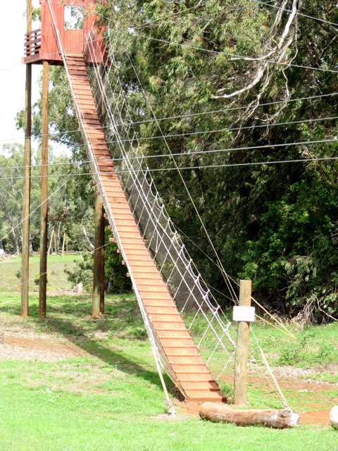zip-line6.jpg