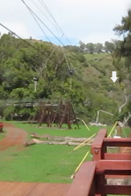 zip-line7.jpg