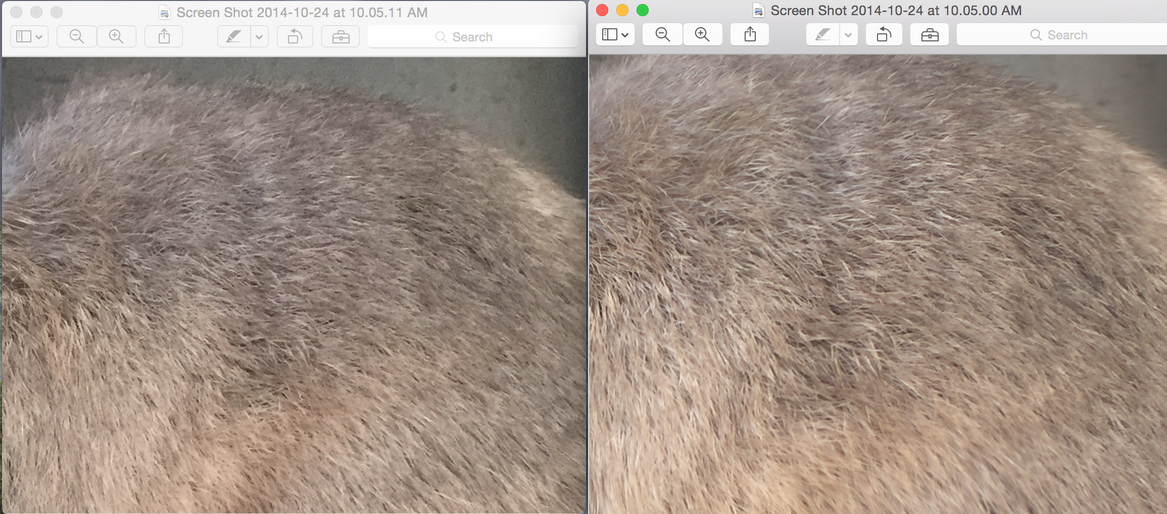 Zoomed in iPhoto.png