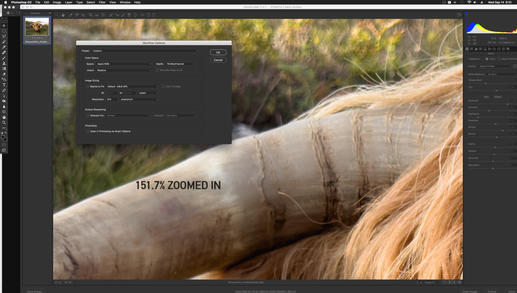 zoomed.png