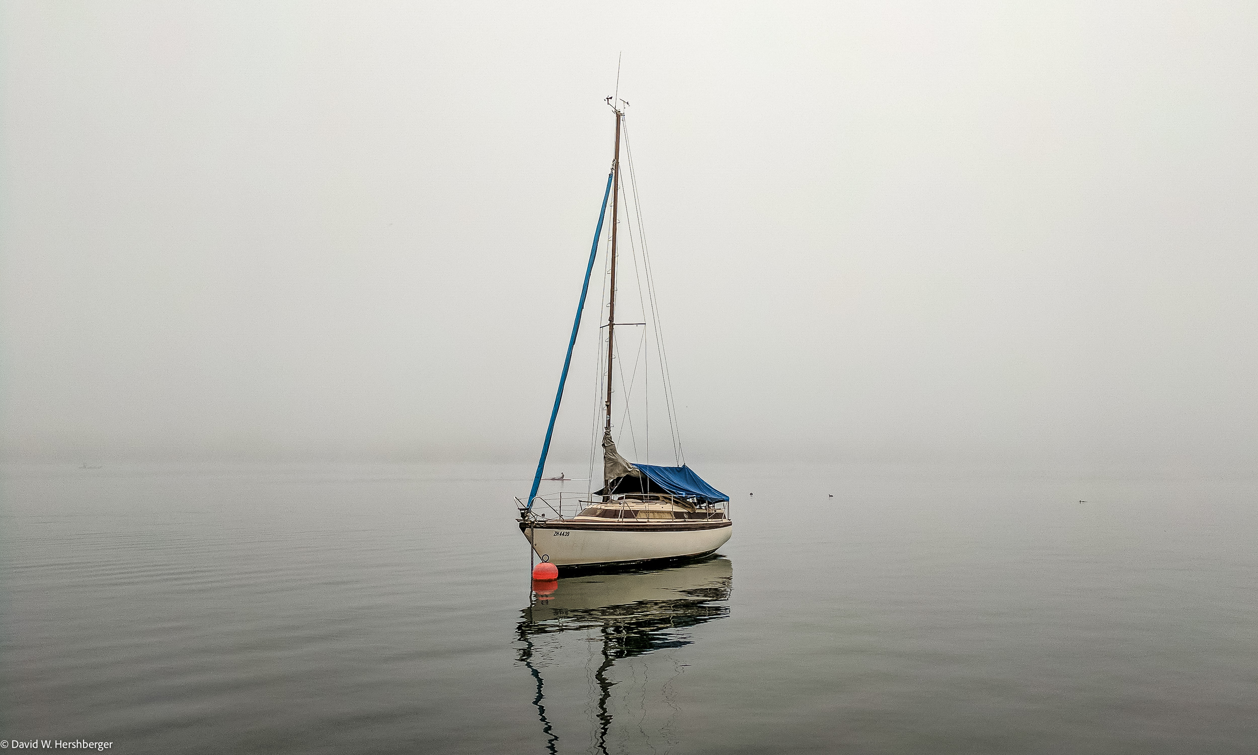 Zurichsee.jpg