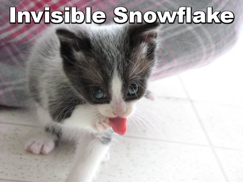 Invisible_snowflake.jpg