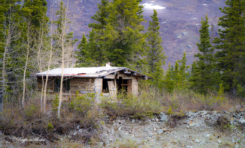 Cabin_2728_zps5362e99c.jpg