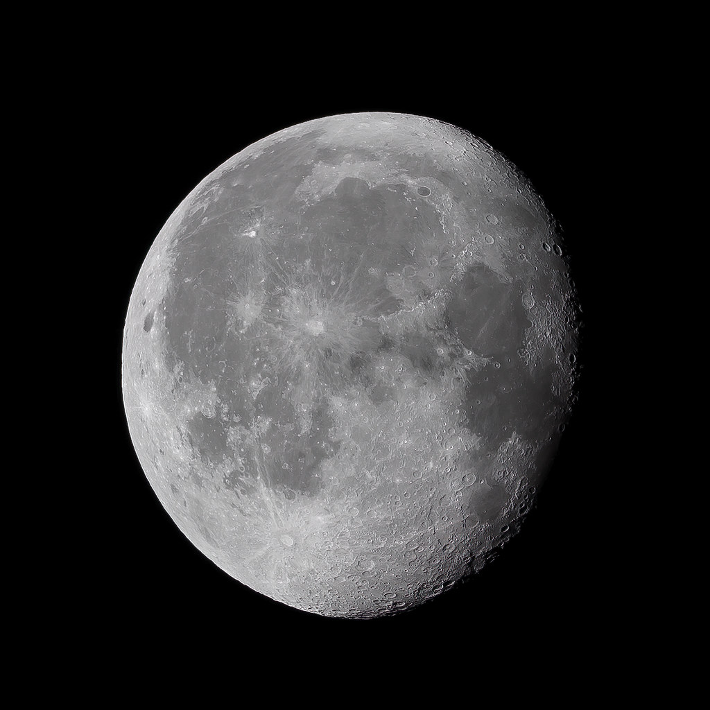 47575868641_1ccab8b7c9_b.jpg