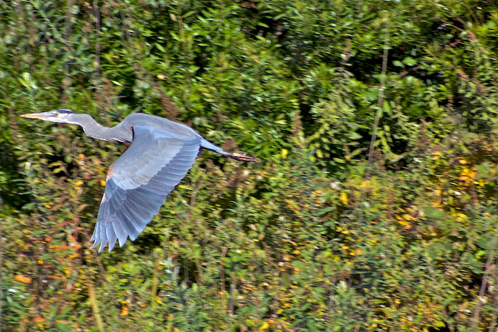 IMG_8747.jpg