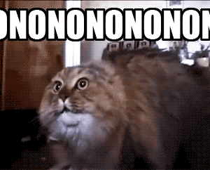 LOL.gif