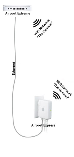 network-1.jpg