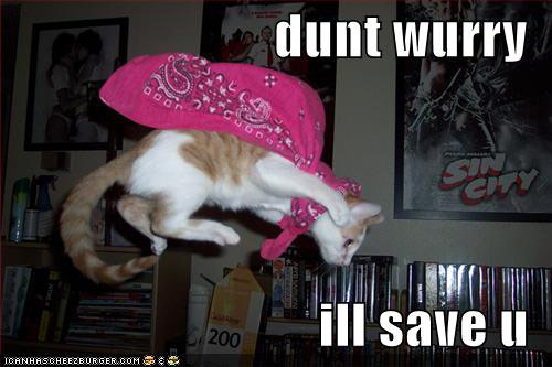 lolcat_500x333.jpg