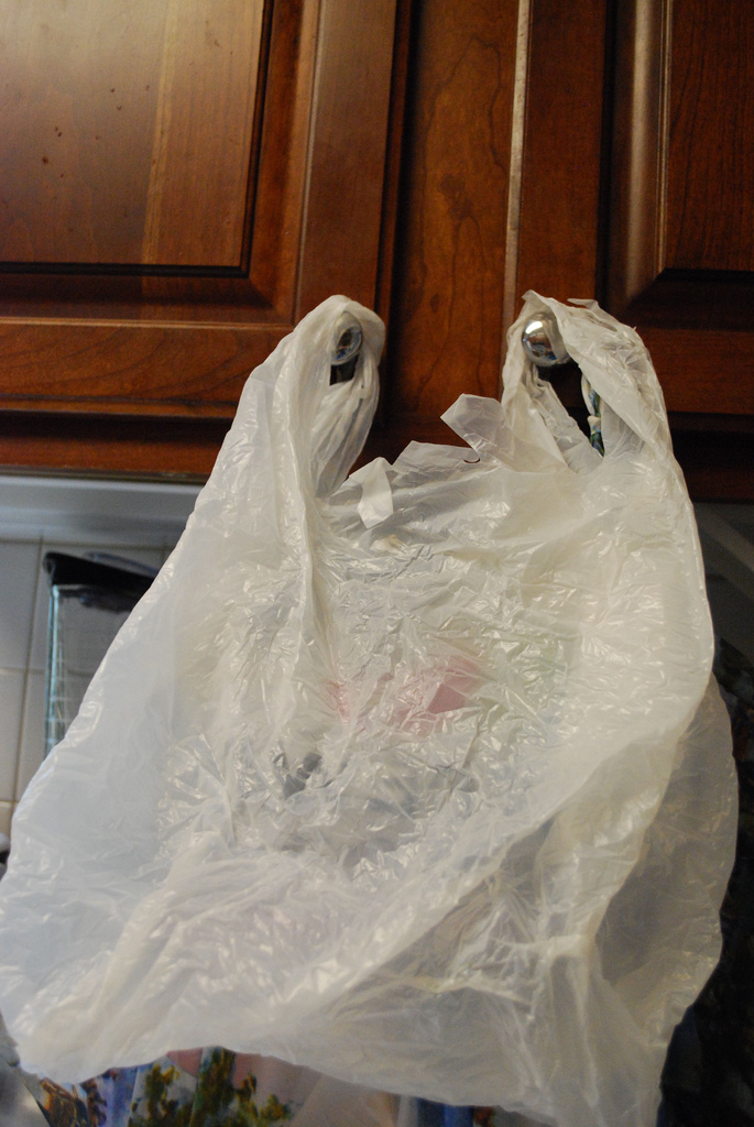 2_safeway_bag_model.jpg