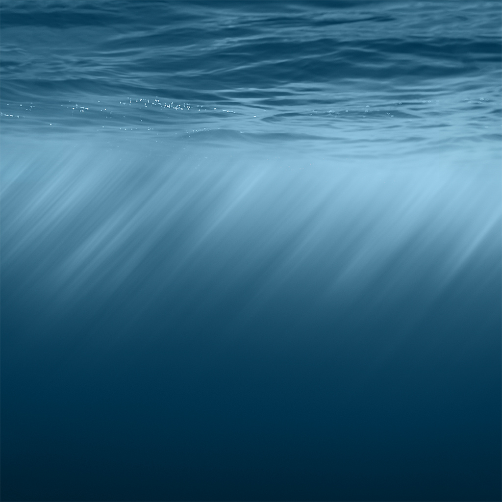 14171423487_82dfedc132_b.jpg