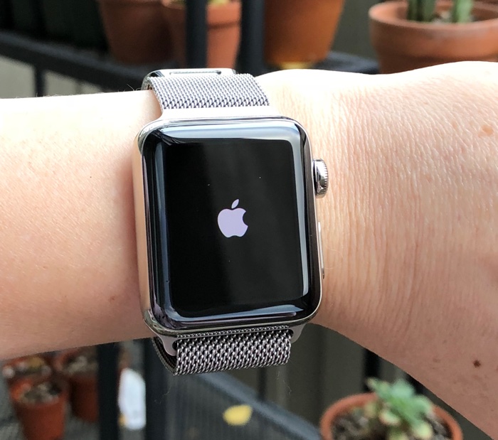applewatchrespring.jpg