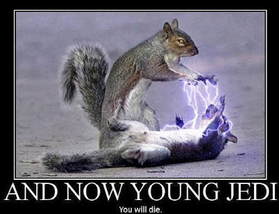 young_jedi.jpg
