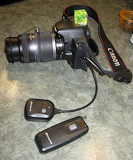 IMG_5608.jpg