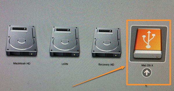 Boot-OS-X-Lion-USB.jpg