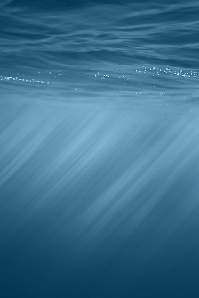 14171334930_41d44a8e8f_o.png
