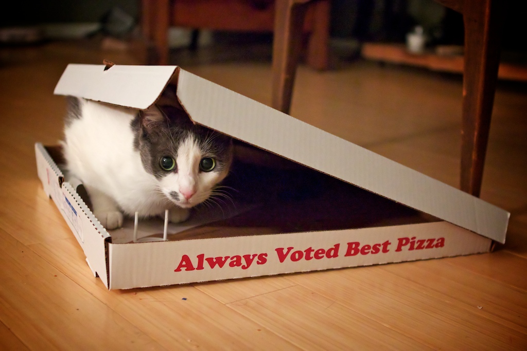 kiwipizza.jpg