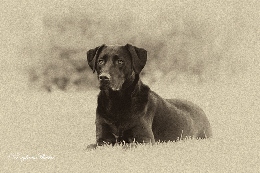 Abbie_0028_zps2dd3bbf5.jpg