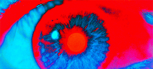 tumblr_lghgq4ZhXP1qavb8jo1_r1_500.gif