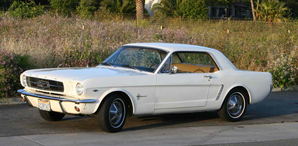 Side-%20W-White%20075.jpg