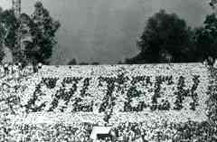 rosebowl.jpg