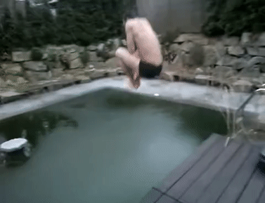 AcceptableDecimalHairstreakbutterfly-small.gif