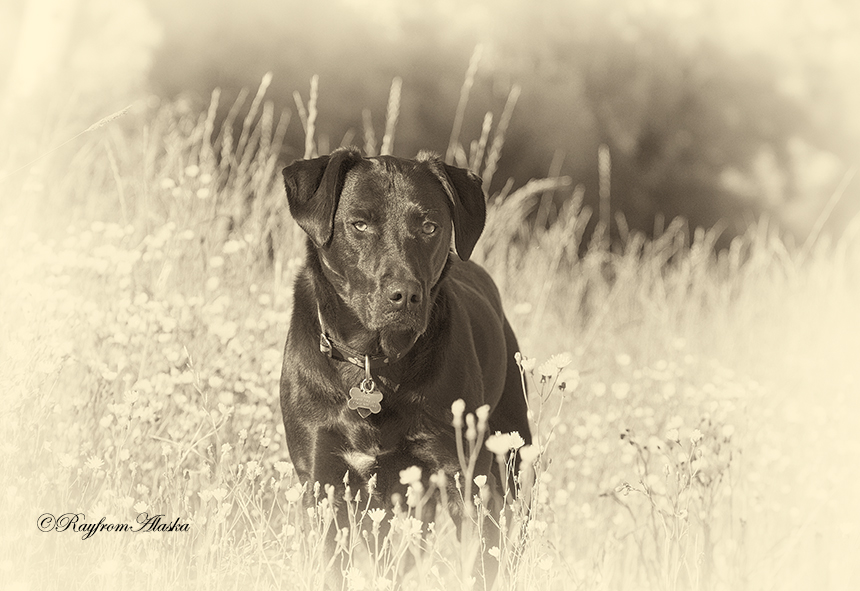 Abbie_0847_zps0f4d9316.jpg