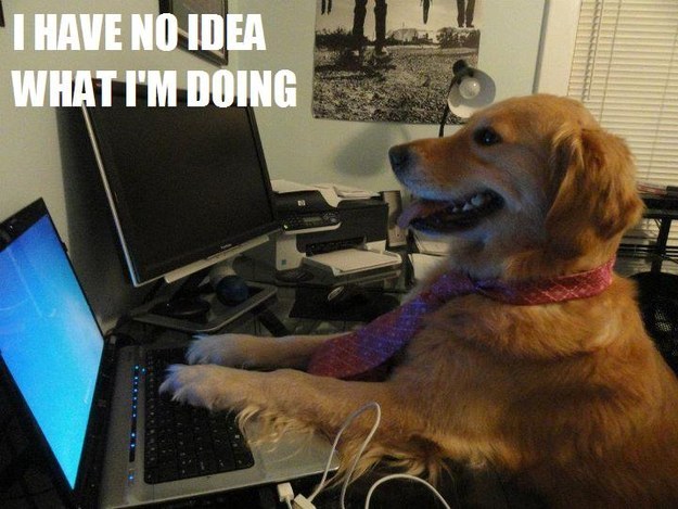 I-Have-No-Idea-What-Im-Doing-Dog-01.jpg