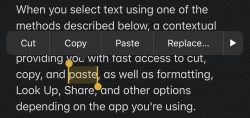how-to-use-text-editing-gestures-ios-3-250x118.jpg