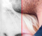 12.png