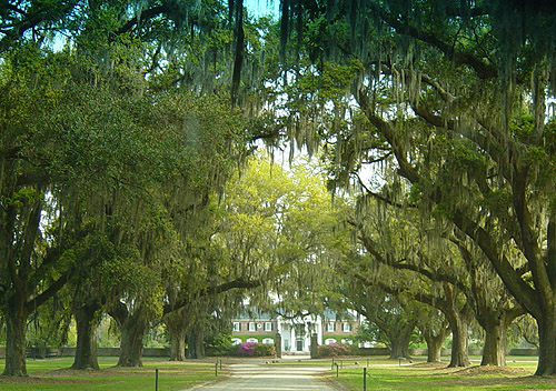 boone%20Hall%20plantation.jpg