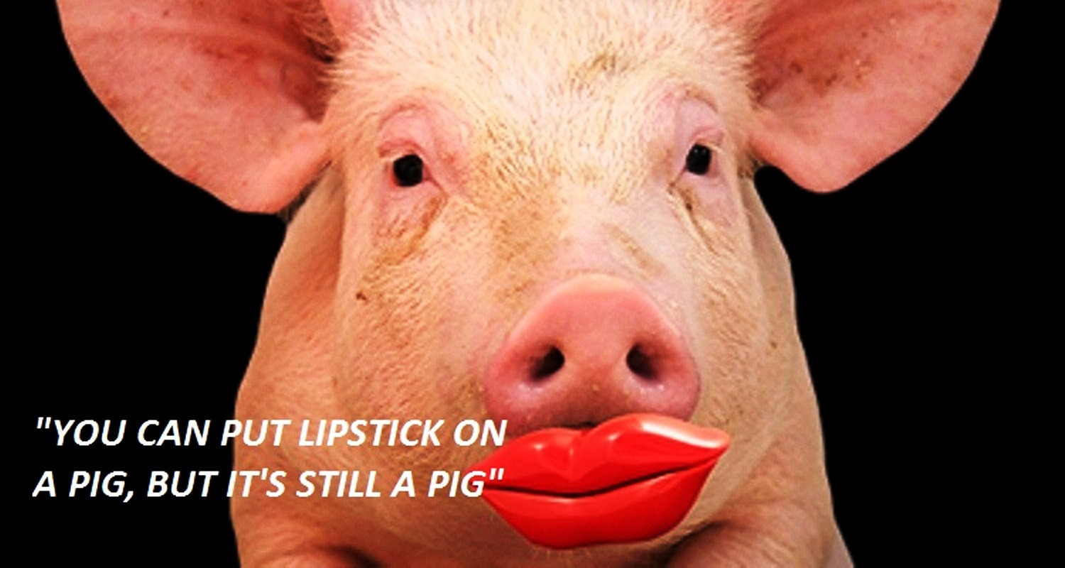 lipstick-on-a-pig5.jpg