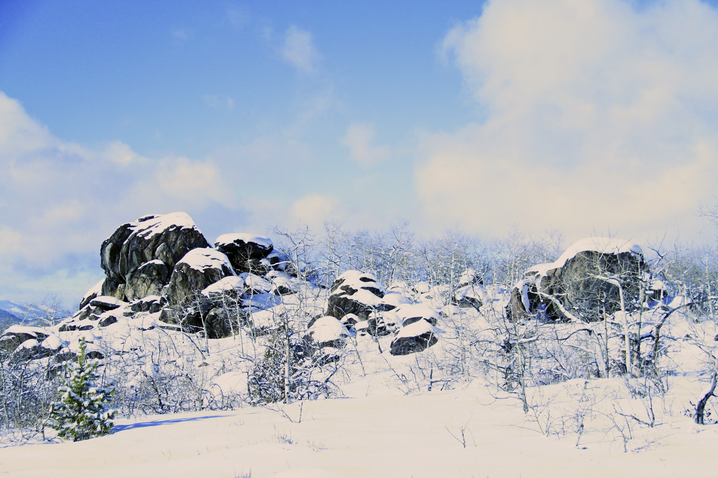 decsnow2488.jpg