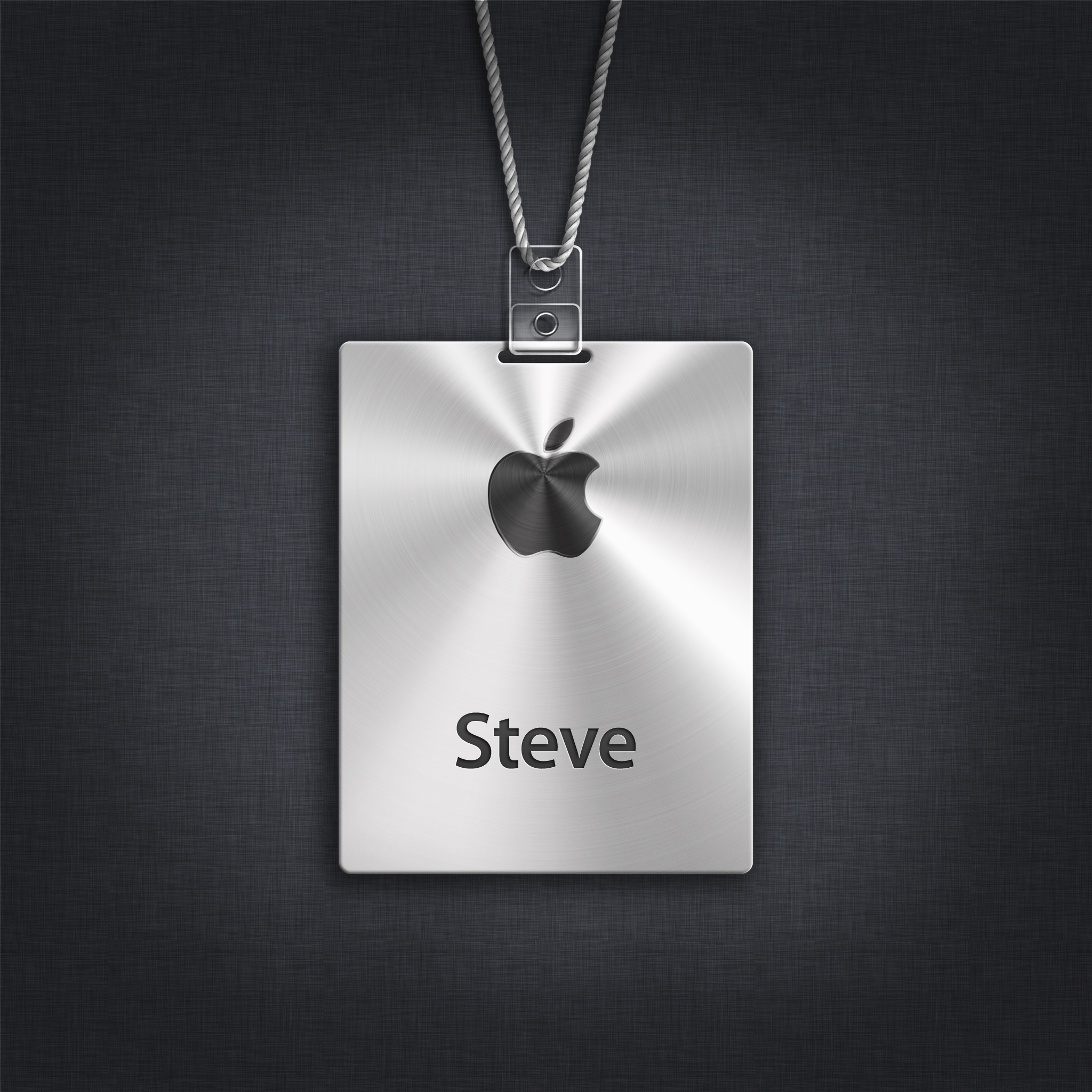 stevevignetteipadicloud.jpg